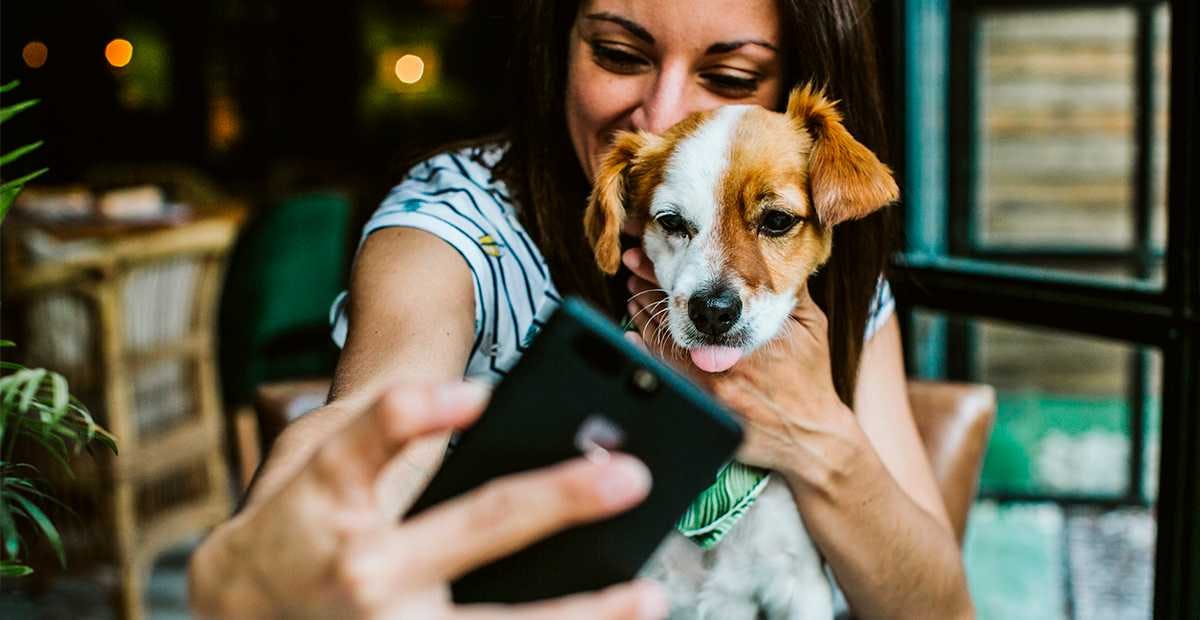 Restaurantes Pet Friendly conquistam famílias de Sorocaba