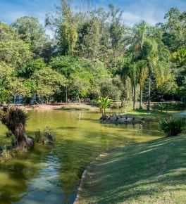 Dez parques do Grande ABC próximos a prédios da PATRIANI